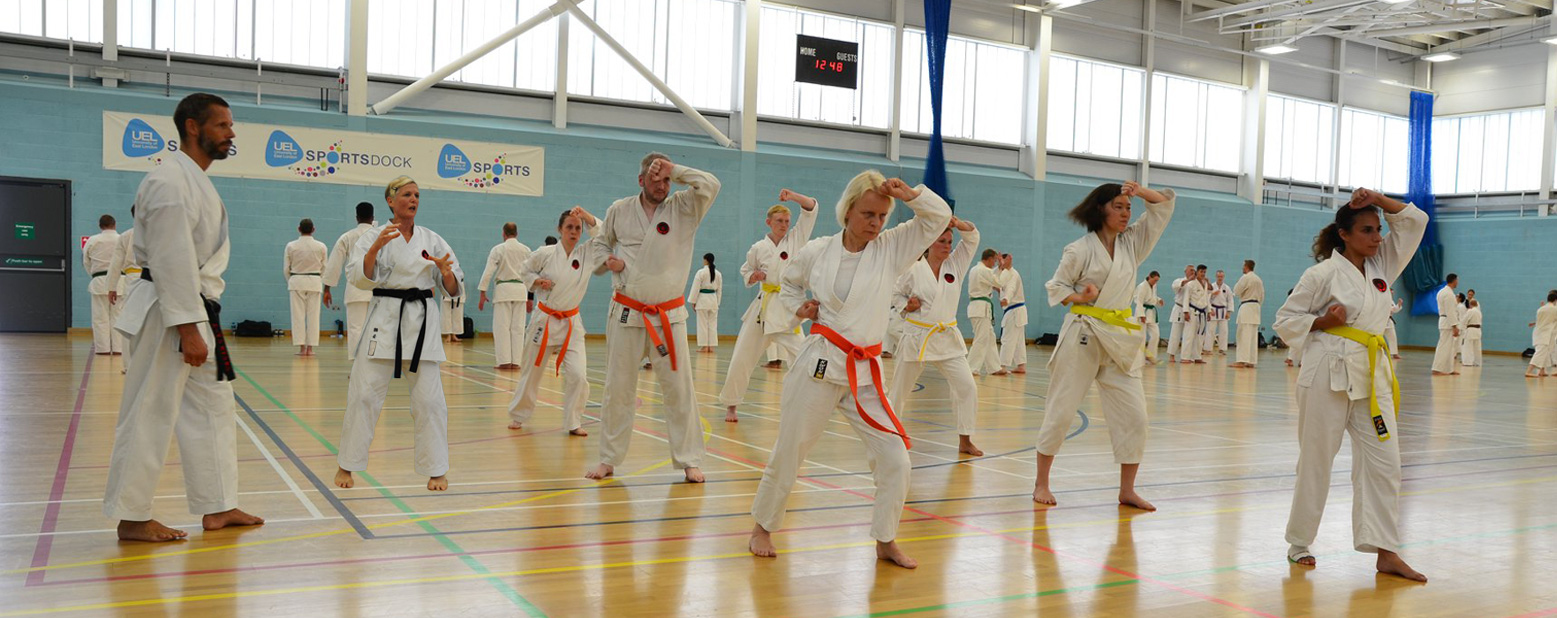 Beginning Karate South West London Karate